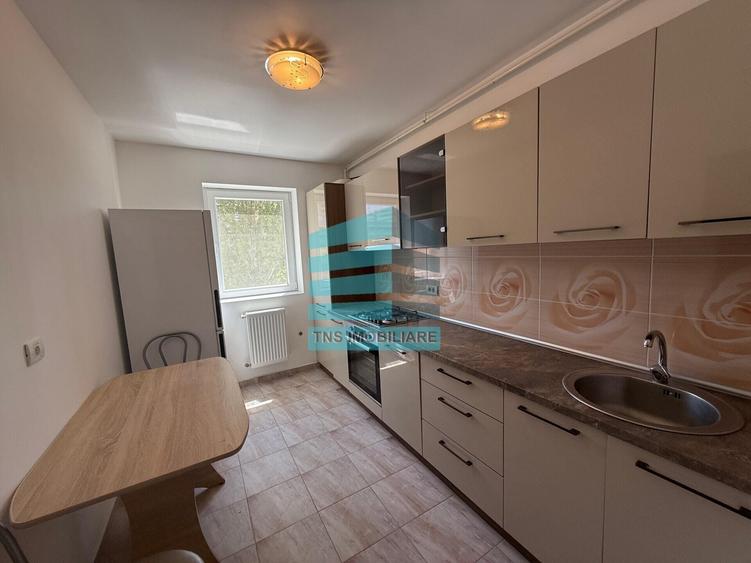 Apartament cu 3 camere decomandat, mobilat în Theodor Pallady