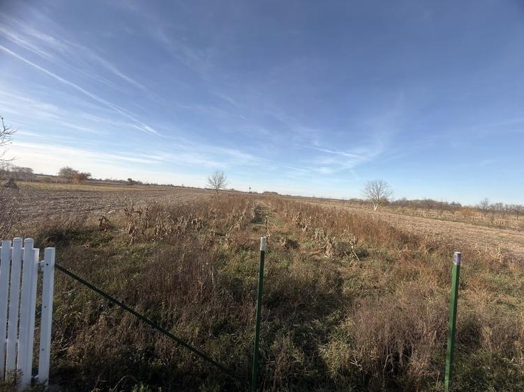 Teren de 2800 mp, în Micula