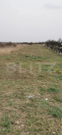 Teren agricol extravilan de 2445 mp, în Periferie