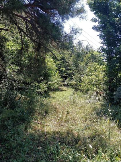 Teren de 10000 mp, în Recea