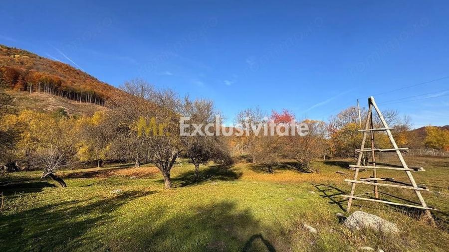 Teren de 7500 mp, în Sălătrucu