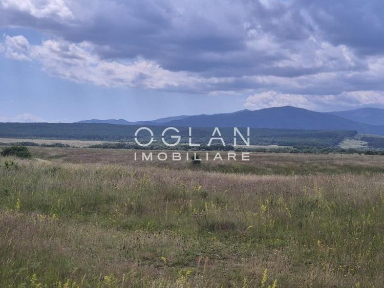 Teren agricol extravilan de 11500 mp, în Cristian