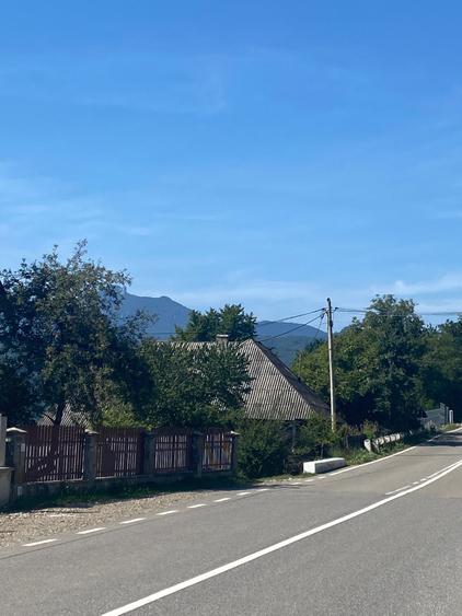 Teren de 11541 mp, în Buhalnița