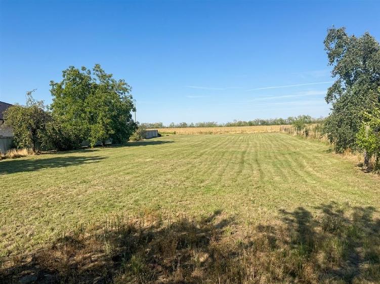RECO Teren intravilan de vanzare in Gepiu – 2.878 mp - 3