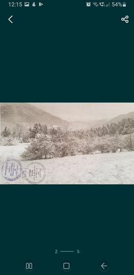Teren de 9300 mp, în Pănicel