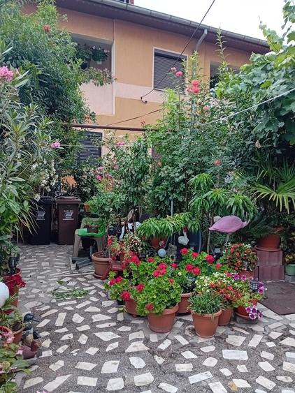 Garsonieră decomandată în Calea București