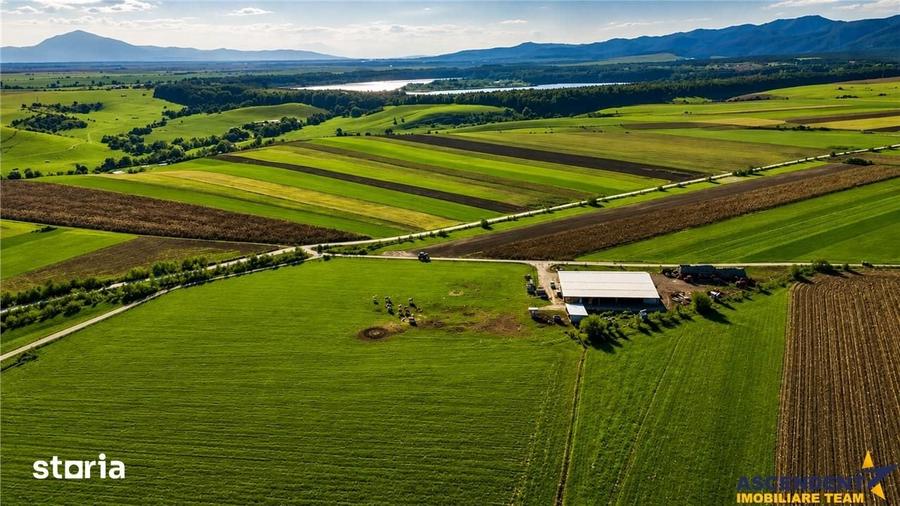 Teren de 18000 mp, în Feldioara