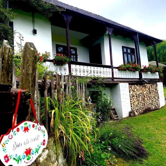 Casă individuală cu 4 camere cu Teren 20000 Mp în Hangu