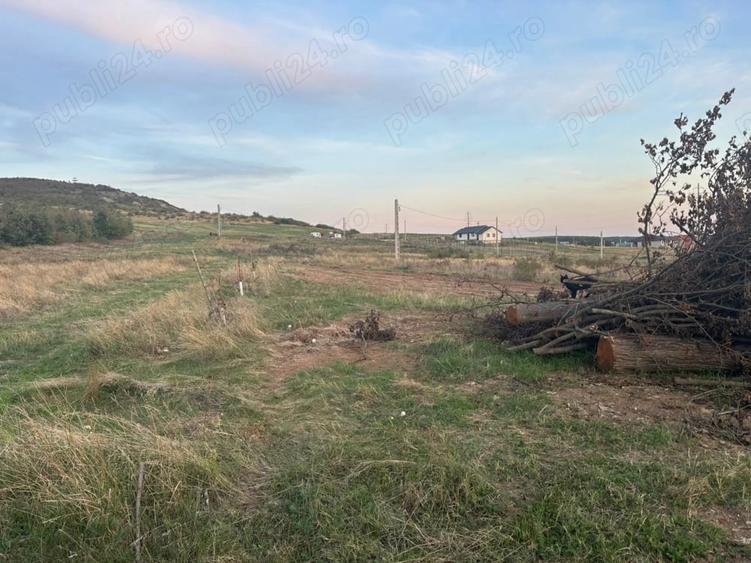 Teren de 1001 mp, în Betfia