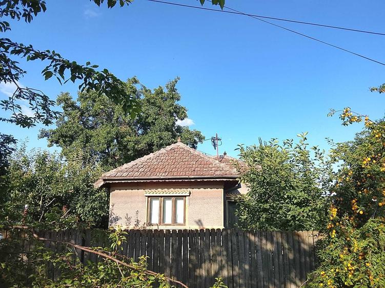 Casă cu 3 camere în Lipia