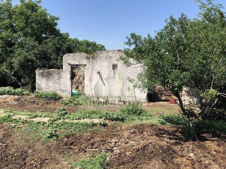 Teren de 9795 mp, în Rădoiești