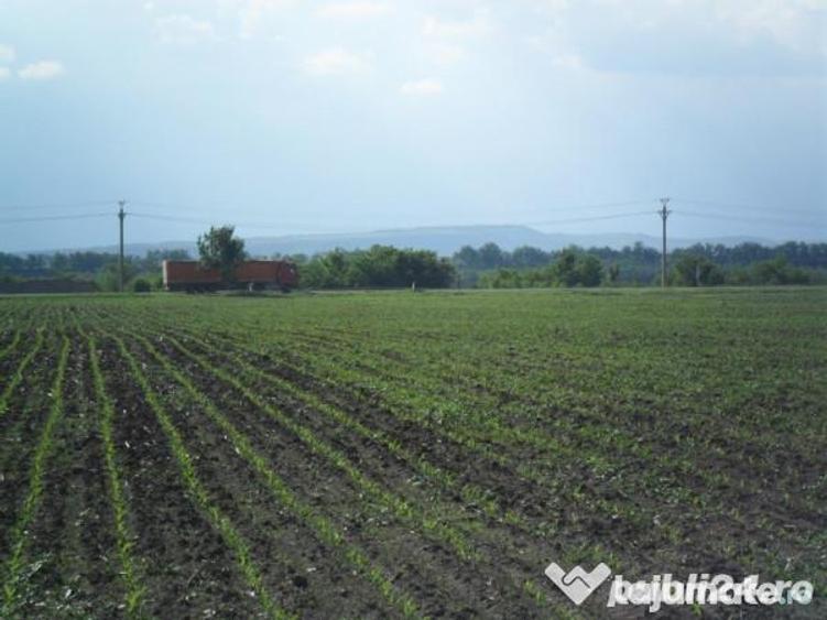 Teren în Poșta Câlnău