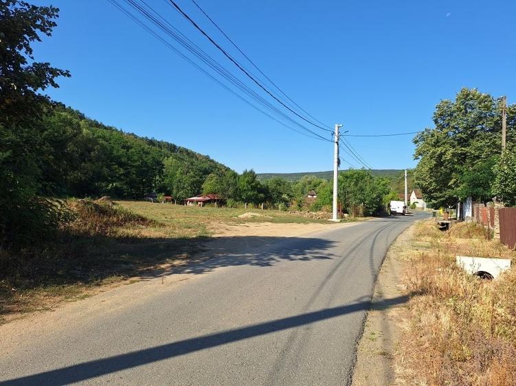 Teren intravilan, 2.174 mp., in localitatea Cladova, comuna Paulis, judetul Arad. - 3