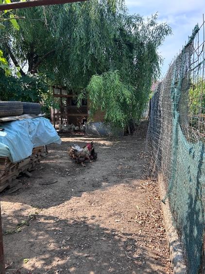 Casă individuală cu 3 camere cu Canalizare în Central
