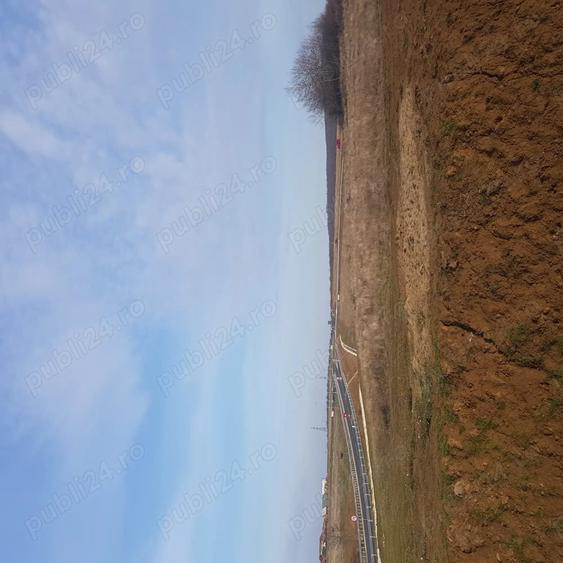Teren de 3500 mp, în Băile Felix