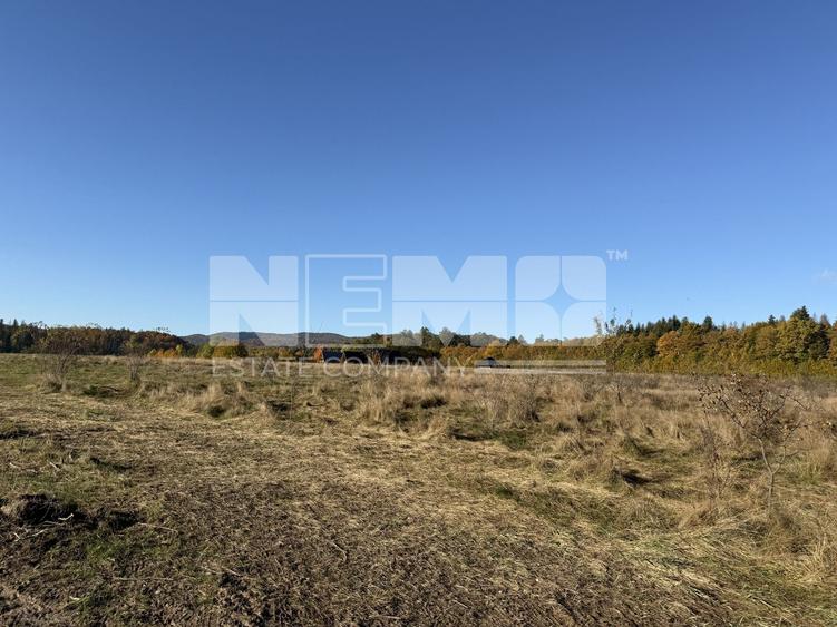 Teren agricol intravilan de 2900 mp, în Horodnic de Sus