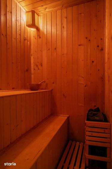 Vila Snagov | piscina|sauna|semineu | intre lac si padure | PROPRIETAR - 8
