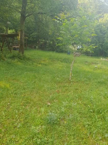 Teren de 2315 mp, în Boș
