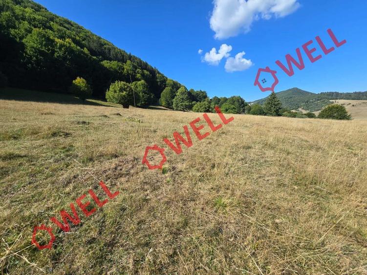 Teren extravilan de 7766 mp, în Dălghiu