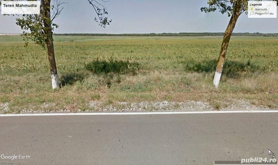 Teren de 19200 mp, în Mahmudia
