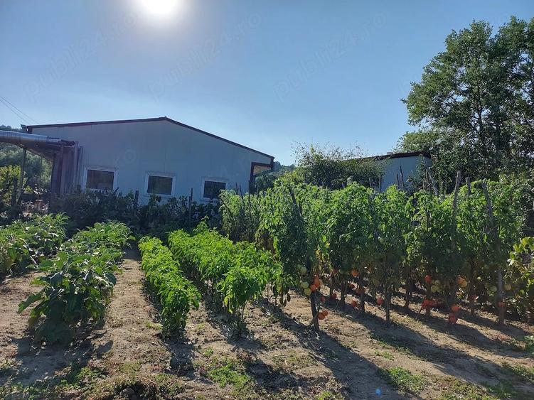 Casă cu 3 camere cu Teren 1000 Mp în Oteștii de Jos
