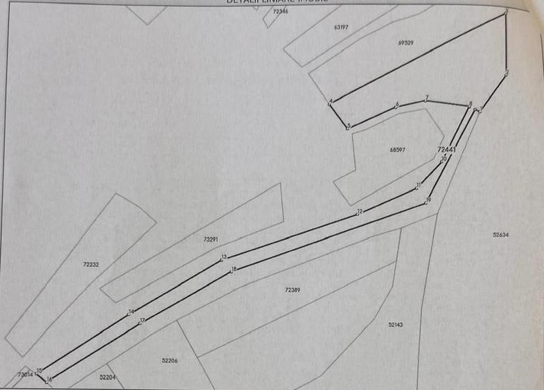 Teren Construcții intravilan de 13234 mp, în Betfia