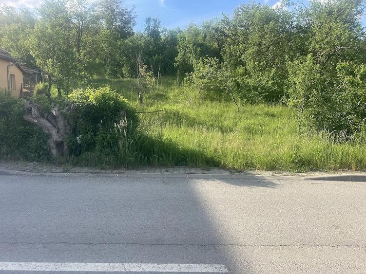 Teren de 3900 mp, în Central