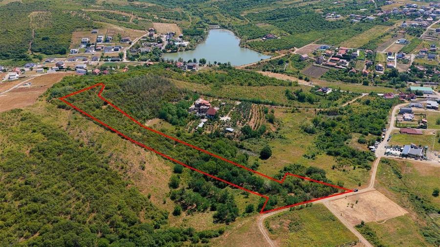 Teren Construcții intravilan de 10391 mp, în Săldăbagiu de Munte