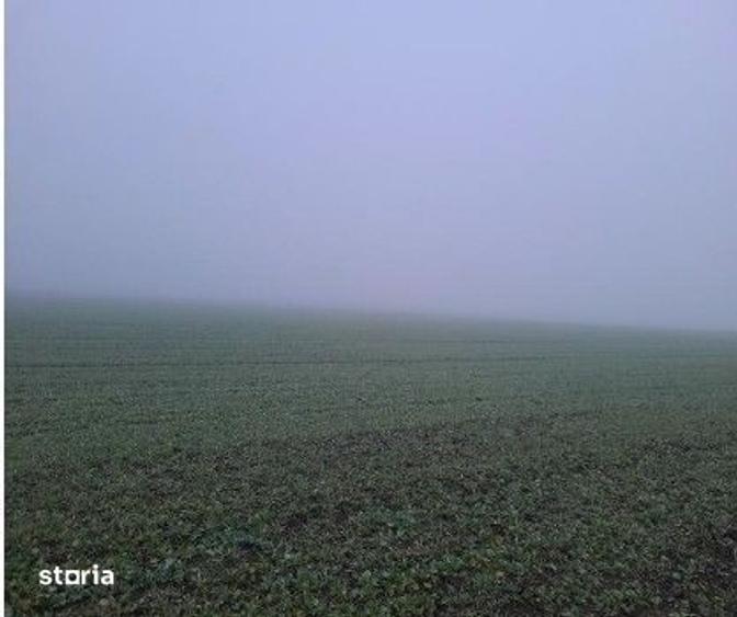 Teren de 4040 mp, în Troianul