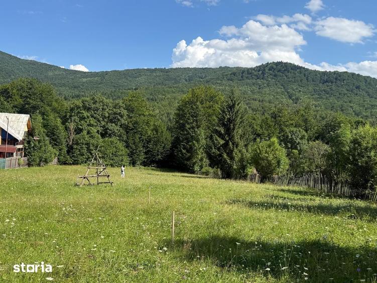 Teren intravilan 1662 mp pozitie superba-Calea Brasovului Valea Neagra - 14