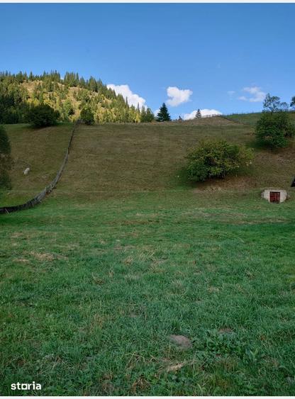Teren de 1724 mp, în Ortoaia