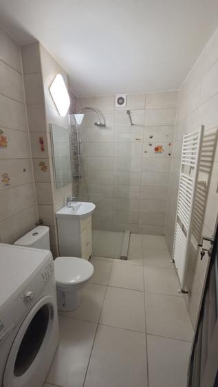 Apartament 2 camere, complet mobilat-utilat, Zona Cetate, 300 euro - 4