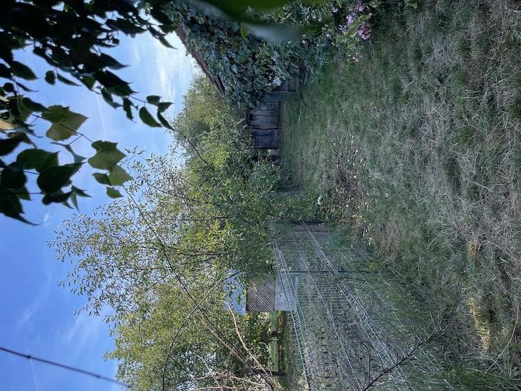 Casă cu Teren 971 Mp în Central