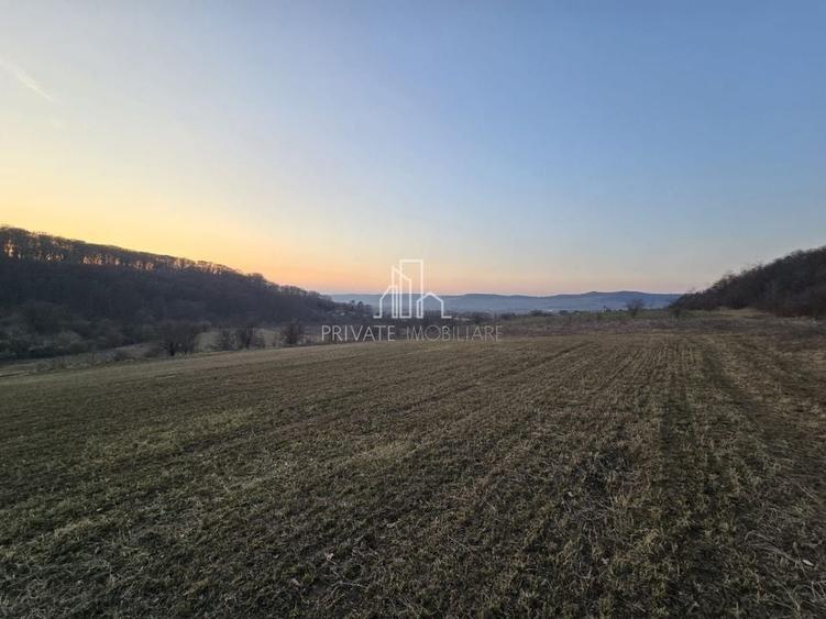 Teren agricol extravilan de 28800 mp, în Sud