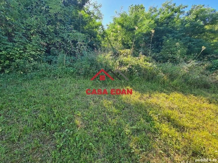 Casă cu 2 camere cu Teren 250 Mp în Poiana