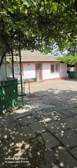 Casă cu 3 camere cu Teren 4250 Mp în Nicolae Bălcescu