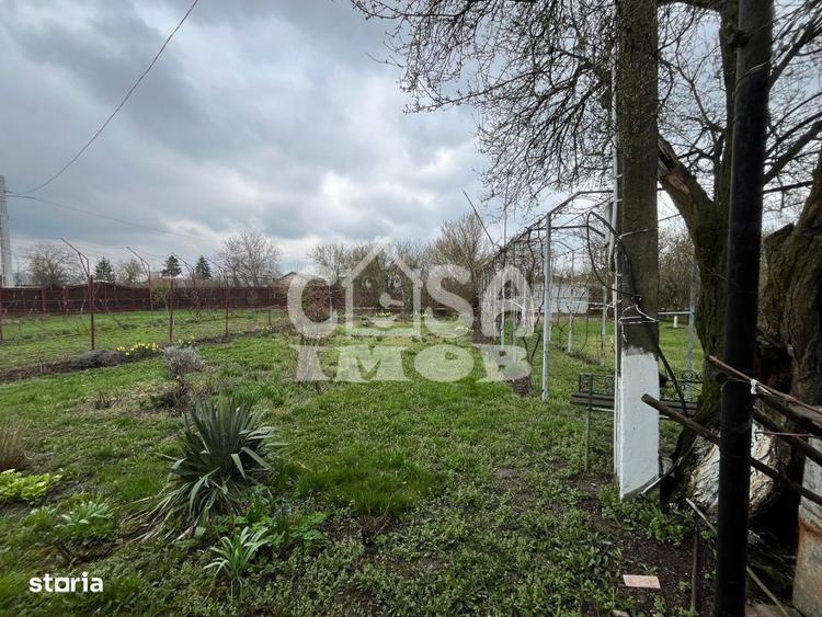 Casuta din lemn de weekend sau casa de vacanta cu teren si livada - 3