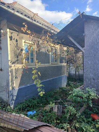 Casă cu 3 camere cu Teren 3000 Mp în Urseiu