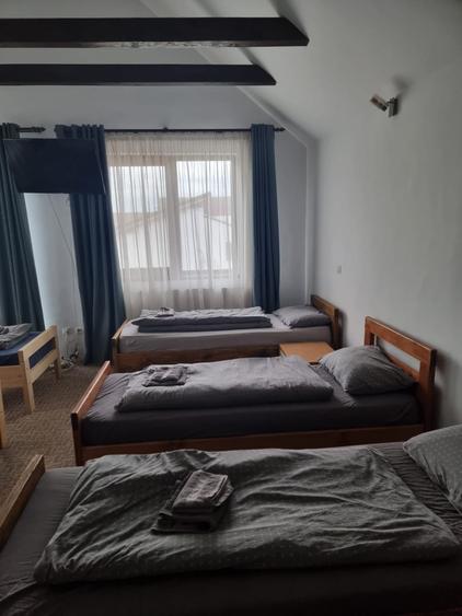 Casă individuală cu 8 camere cu Canalizare în Cristian