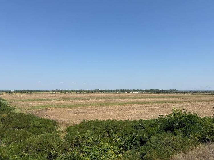 Teren agricol extravilan de 30000 mp, în Uliești