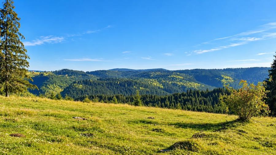 Teren Construcții extravilan de 340 mp, în Beliș