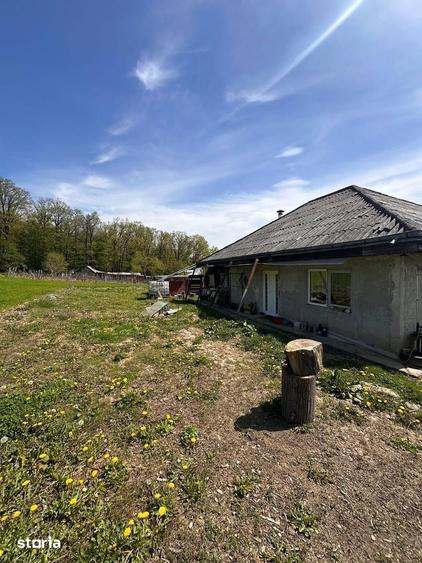 De vanzare casa ?i teren cu suprafata de 13.000mp, 52.000 euro - 8