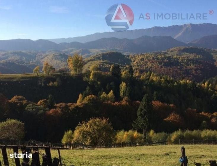 Teren de 10669 mp, în Moieciu