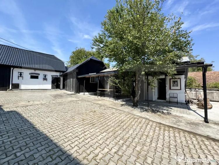 Proprietate superba in Damieni! cu potential enorm comercia - Damieni (Mures) - 5