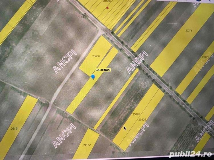 Teren de 2500 mp, în Gălbinași