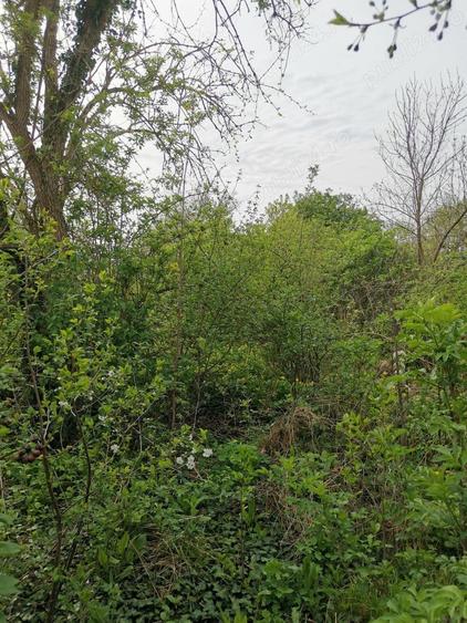 Teren de 1200 mp, în Balta Neagră