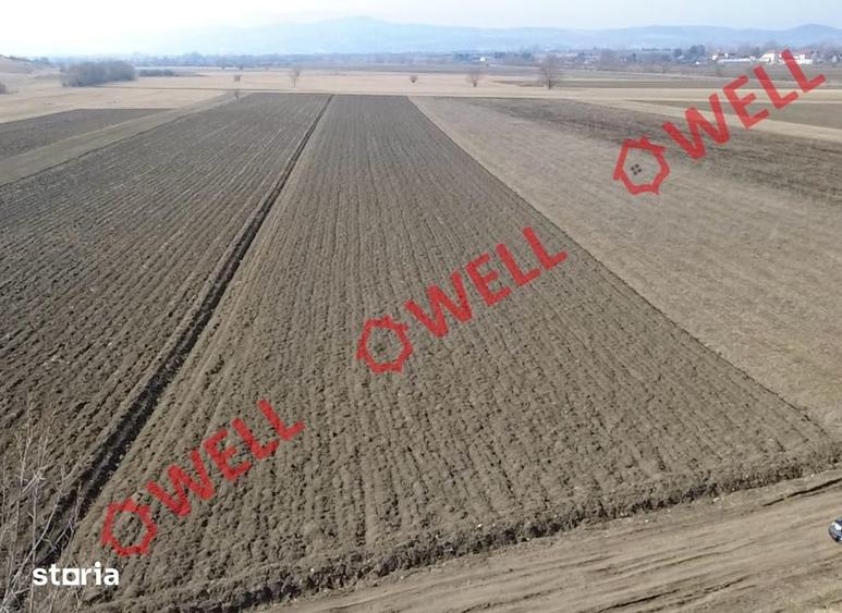 Teren de 10750 mp, în Baraolt