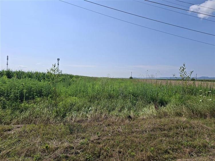 Teren intravilan de 1600 mp, în 9 Mai