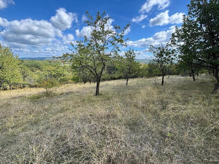 Proprietar - Vand teren 6.107 mp Valenii de Munte - deschidere 20.8m - 1