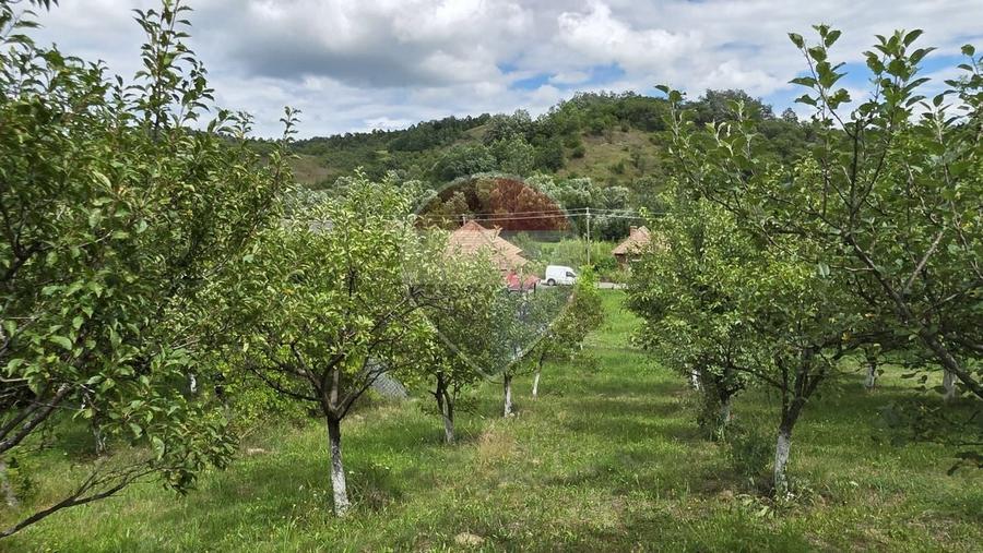 Casă individuală cu 2 camere cu Teren 2800 Mp în Elciu